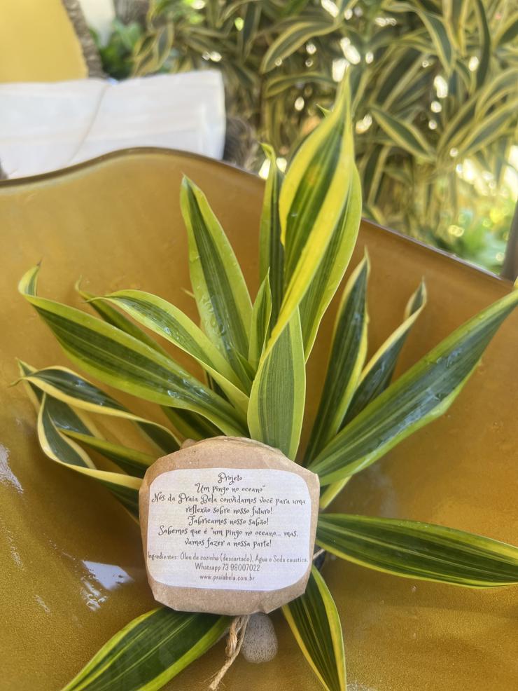 Foto experiências praia bela ilheus